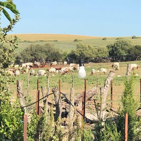 Alojamiento Rural El Soldao Medina-Sidonia Bagian luar foto