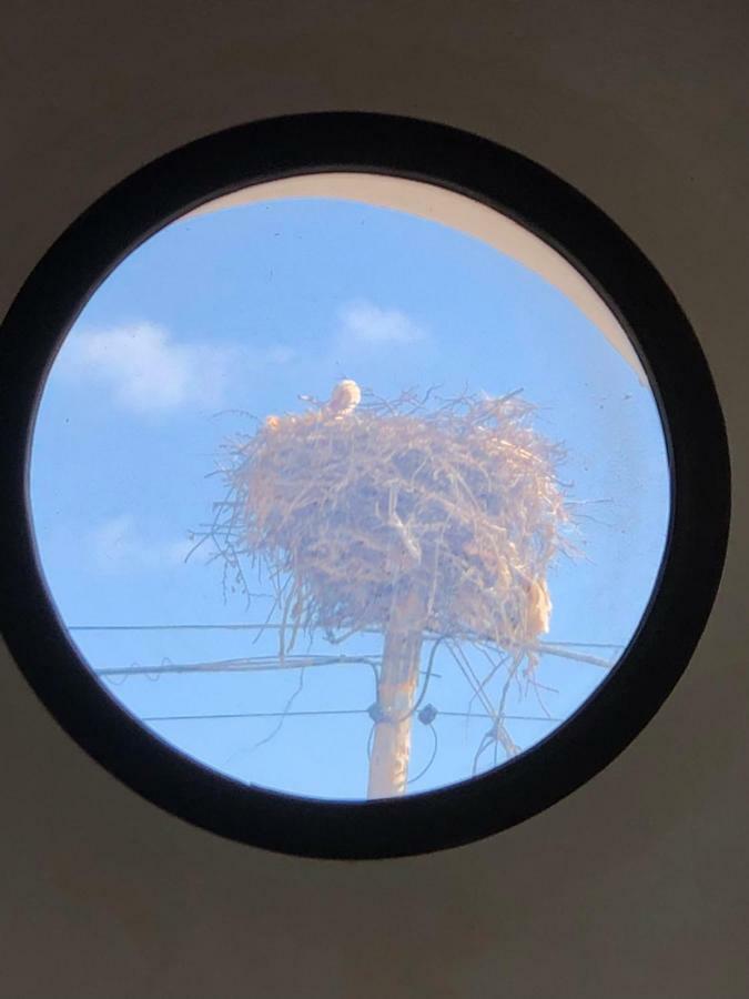 Alojamiento Rural El Soldao Medina-Sidonia Bagian luar foto